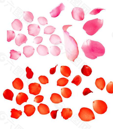 国华通配资 首只境外上市科创板ETF走红，多只新品在路上