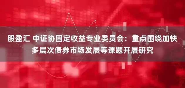 股盈汇 中证协固定收益专业委员会：重点围绕加快多层次债券市场发展等课题开展研究